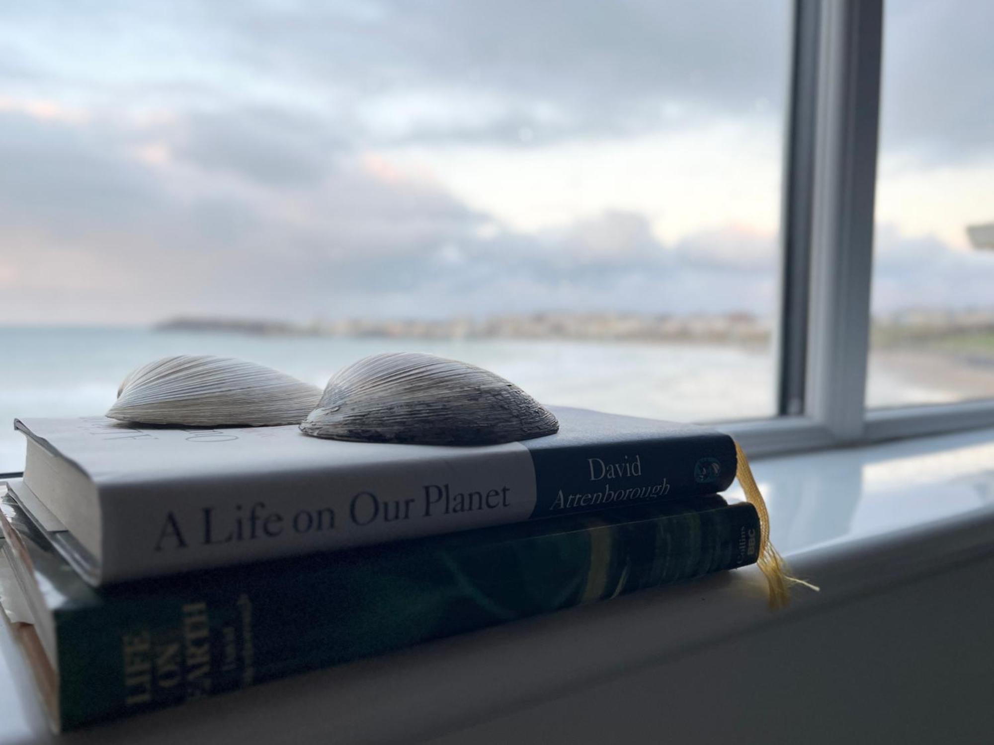 Sound Of The Sea - Penthouse In Portrush Apartment Екстериор снимка